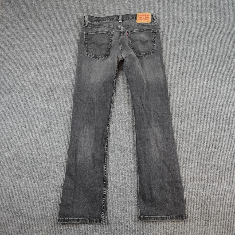 Levis levis 527